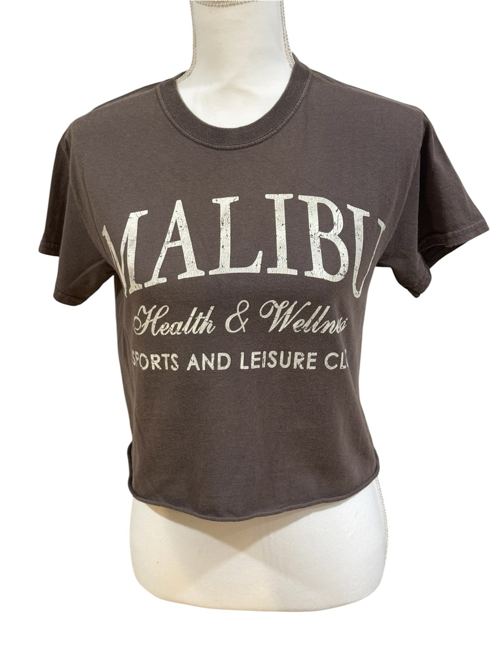 Social Culture "Malibu Health & Wellness" brown/gray short sleeved graphic T, S.